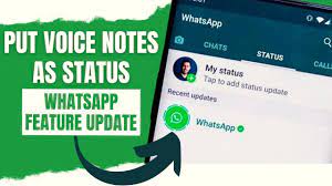 Voice Status in Whatsapp